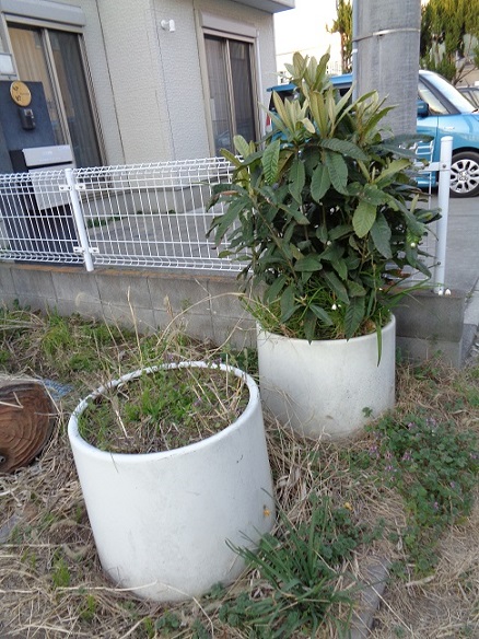 お庭の植木・鉢/エアコンの撤去　狭山市